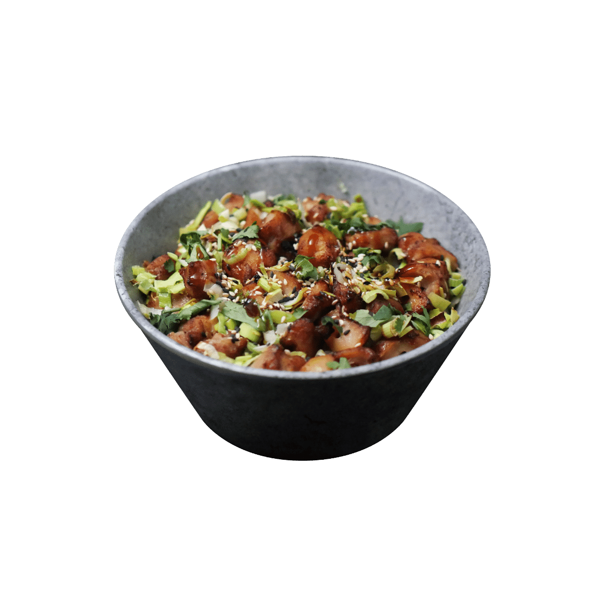 donburi_poulet_2024_1